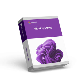 Microsoft Windows 11 Pro Image