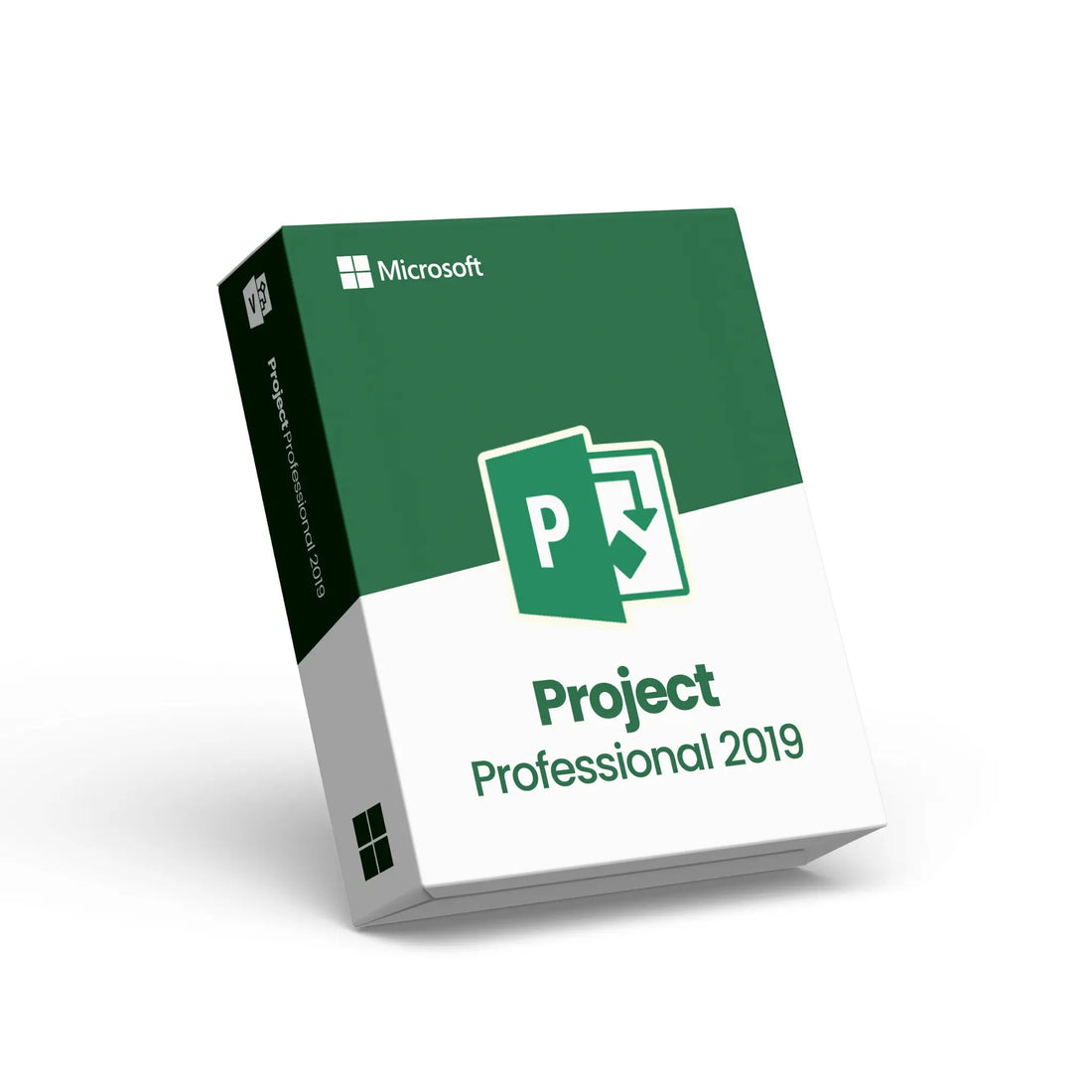 Microsoft Project Professional 2019