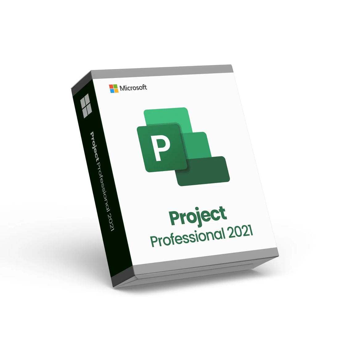 Microsoft Project Professional 2021